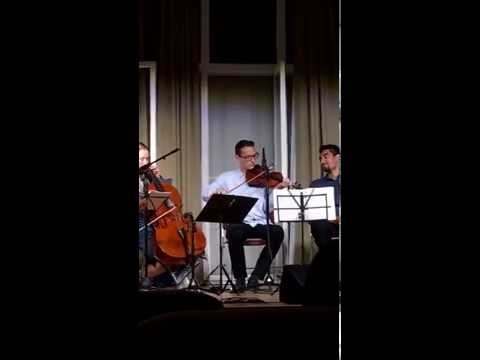 Rast Violin Taqasim- تقاسيم من مقام راست