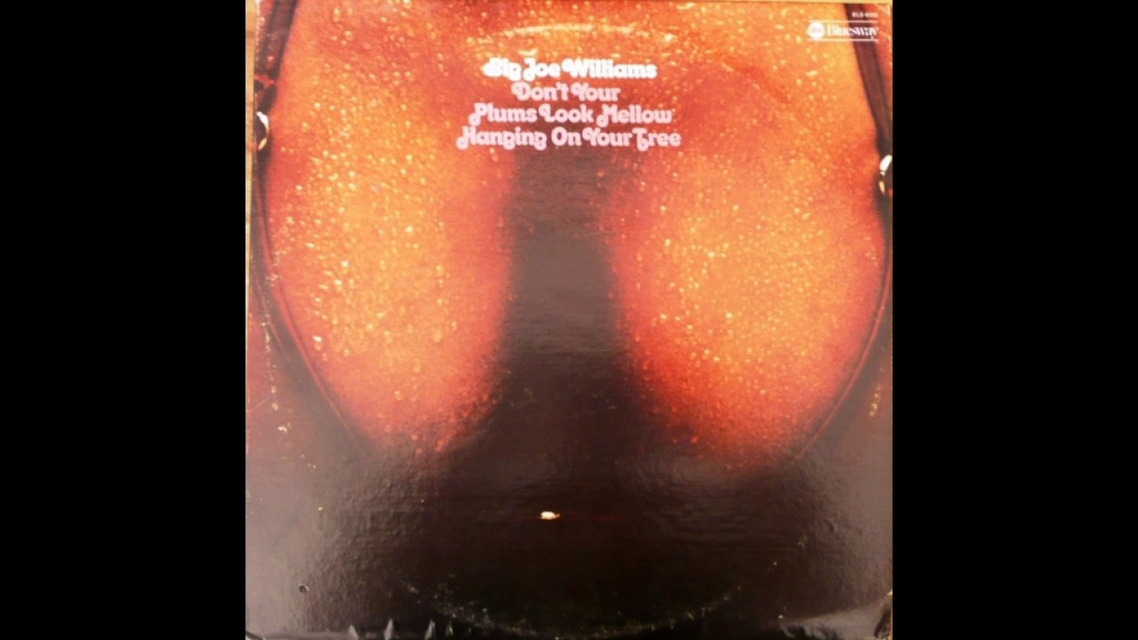 Big Joe  Williams - Don't Your Plums Look Mellow (1974)