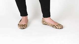 New Women's Shoes Amazon Essentials Women's Belice Ballet Flat