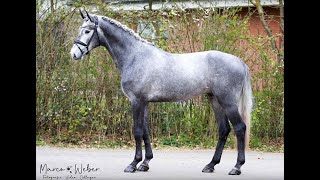 Video di sconosciuto