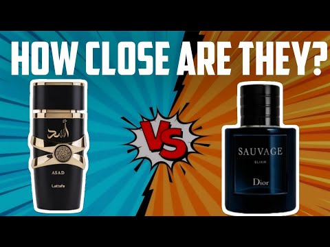 Lattafa Asad vs Dior Sauvage Elixir Review