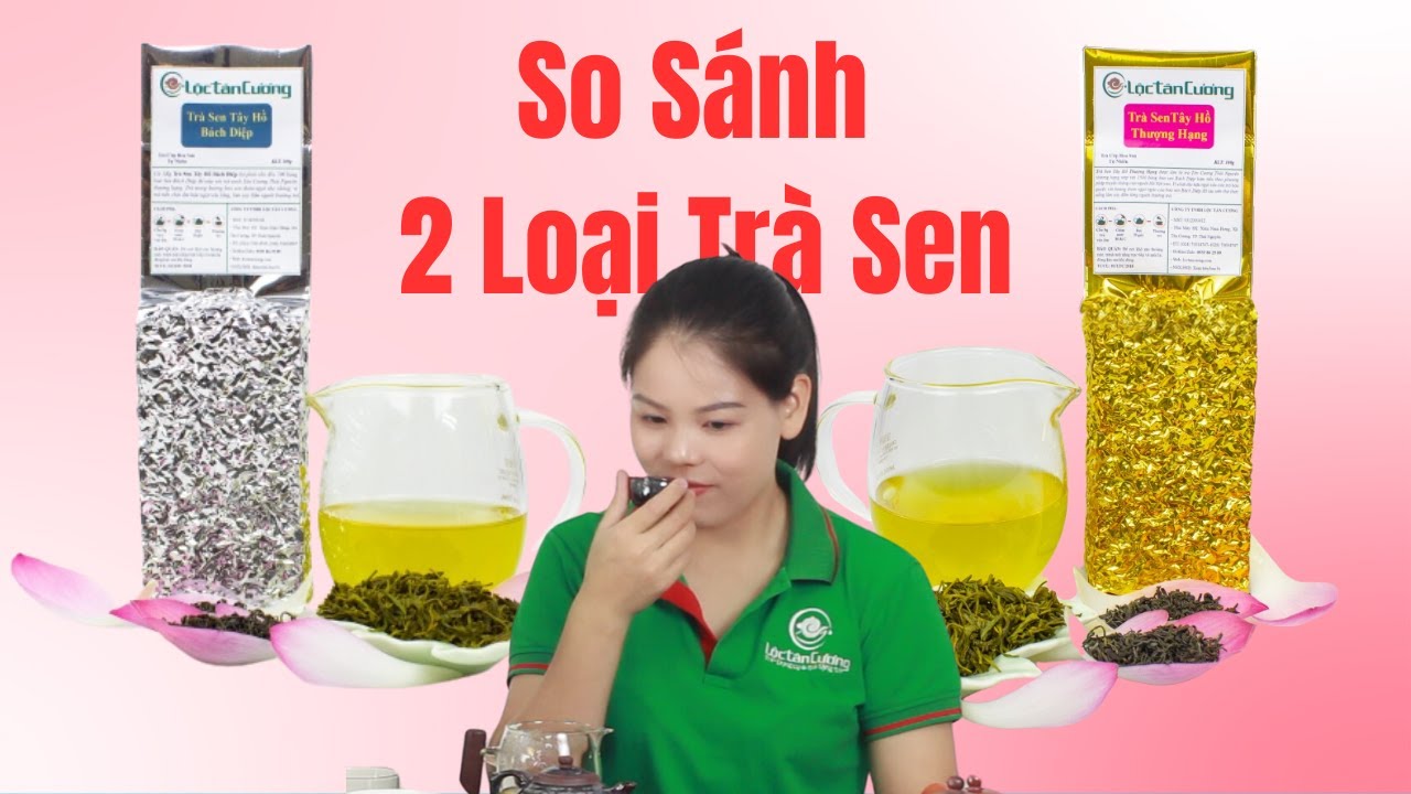 So Sánh 2 Loại Trà Sen Tây Hồ