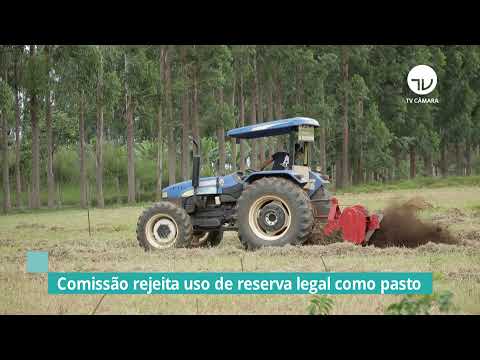 Comissão rejeita uso de reserva legal como pasto - 29/12/21