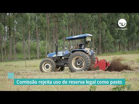 Comissão rejeita uso de reserva legal como pasto - 29/12/21