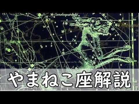 オオヤマネコ (星座)について詳しく解説