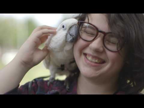 Sophie's eye test revealed intracranial pressure & saved her sight