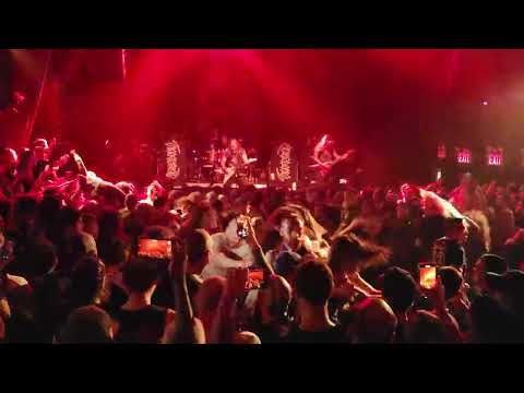 Max and Iggor Cavalera