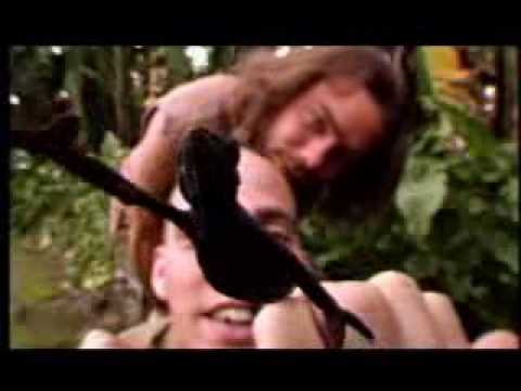 Wildboyz  - Funky Mountain Chameleon