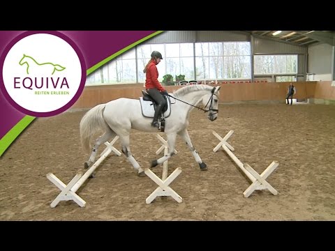 Stangen- und Cavalettiarbeit Teil 2 - Übungen für den Trab