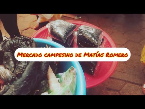 Esto puedes encontrar en el mercado campesino de Matías Romero, Oaxaca