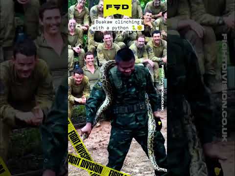 🐍 BUAKAW clinches a PYTHON!! 🐍 #muaythai #thaiboxing #ufc #mma #buakaw #comedy