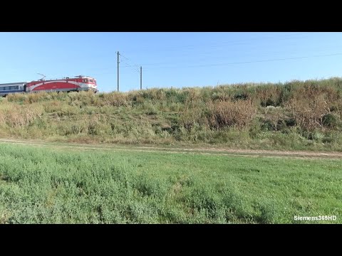 Trenuri Dor Marunt - 09.08.2021