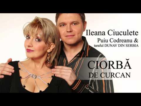 Ileana Ciuculete, Puiu Codreanu & taraful DUNAV din Serbia - Scolarita