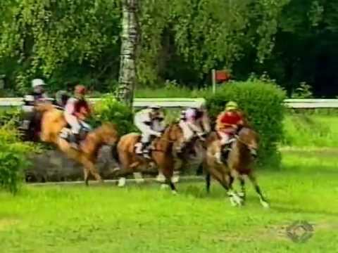 Pferderenntag in Aarau 1995 Teil 1