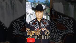 los malportados los tigres del norte