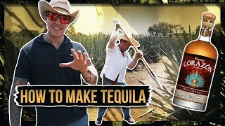 HOW TEQUILA IS MADE