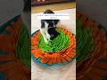 Snuffle Mat To Slow Down My Tuxedo Cats Eating Cute Tuxedo Cat Takes 20 Mins To Eat 1 5 Tbs Food