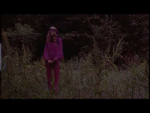 Hardy Fox - Lucy In The Sky With Diamonds