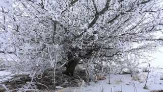 preview picture of video 'Frozen Mashuk, alive photographs - Замерзший Машук, живые фотографии'