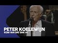Peter Koelewijn - Kom van dat dak af | Sterren in Concert