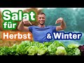 Salat Im Herbst Winter Ernten 7 Sorten Die Du Leicht Anbauen Kannst