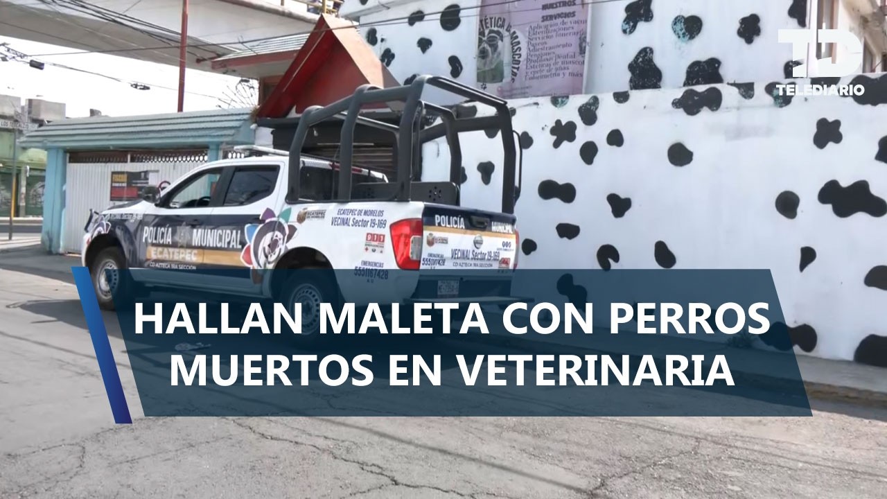 Encuentran maletas con cuerpos de perritos dentro de una veterinaria en Ciudad Azteca, Ecatepec