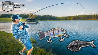 Will These Swimbaits Get MUNCHED?? ("Scaled Up" Ep. 3)