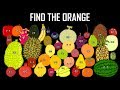 Find The Fruit The Kids Picture Show Fun Educational Learning Video