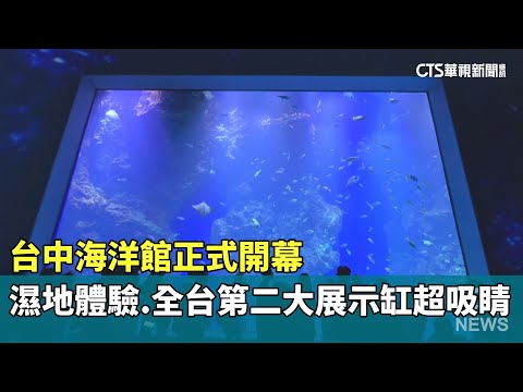 台中海洋館正式開幕　濕地體驗.全台第二大展示缸超吸睛