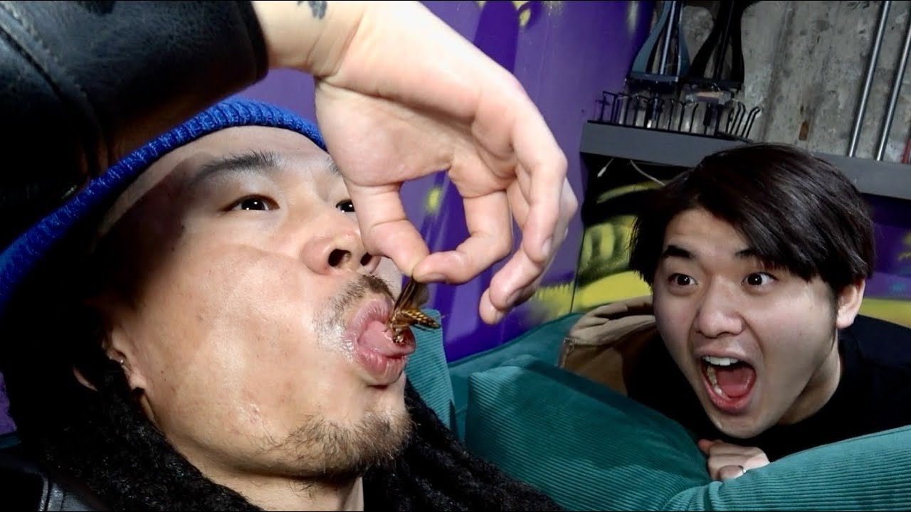 笑ったら即ゴキブリ食べる企画が地獄すぎたwww