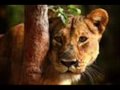Morgan Heritage ---------Meant To Be - ajmdaj Morgan Heritage ---------Meant To Be