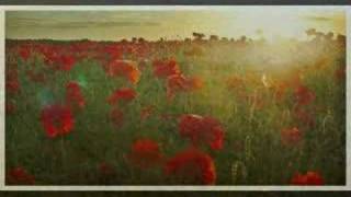 Eric Bogle - No Man&#39;s Land ( Green Fields of France )