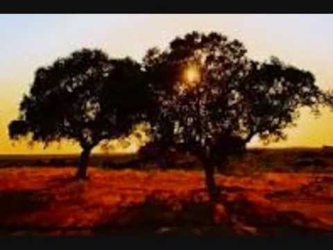 Merche Cuadrado - Manantial de coplas