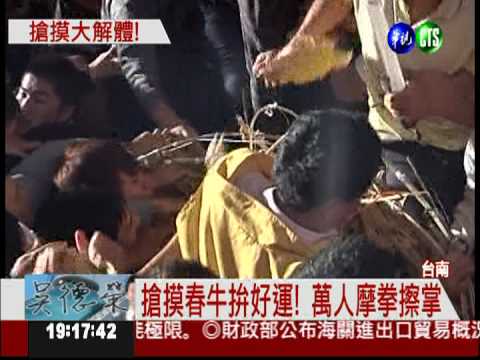 鞭春牛旺整年 萬人搶摸竟解體