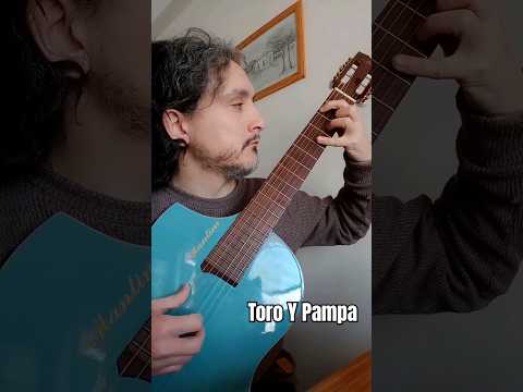 Toro Y Pampa - Almafuerte