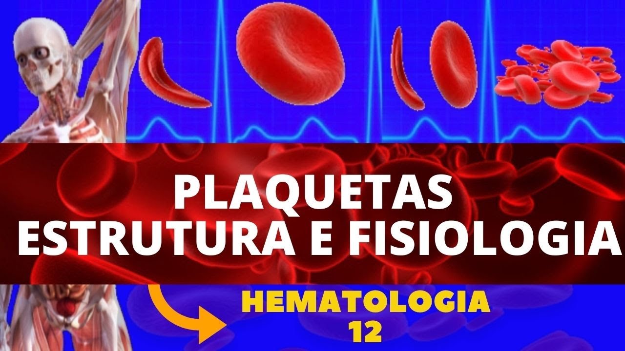 FISIOLOGIA E ESTRUTURA DAS PLAQUETAS - HEMATOLOGIA