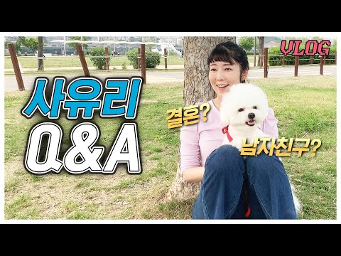 아이콘