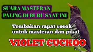 Download lagu MASTERAN KEDASIH UNGU /VIOLET CUCKOO GACOR #masterankasar #masteranfulltembakan mp3