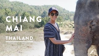 ELEPHANT SANCTUARY CHIANG MAI | Thailand Travel Vlog 011 2017