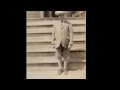 Bix Beiderbecke and his Wolverine Orchestra - Big Boy - 1924.