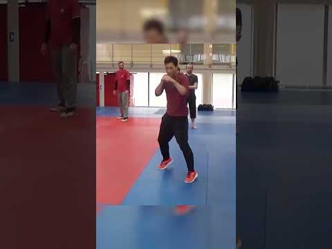 The Principle of the Speed Jab | スピードジャブの原理 #shorts