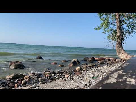 Focusing On Health - 21 minutes