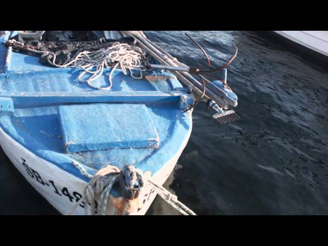 Central Dalmatia Marina County