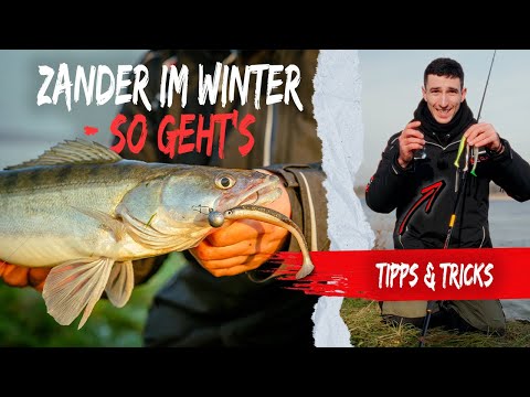ZANDER FISHING in WINTER with soft plastic lures ❄️ With these tips & tricks you'll catch fish in...