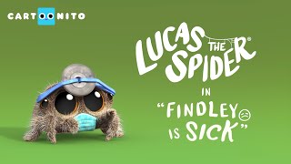 Lucas the Spider - Findley is Sick - Short