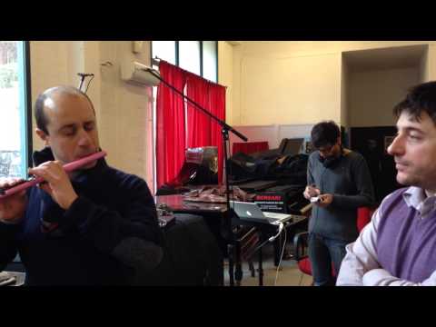 PROVA GUO FLUTE NEW VOICE OTTAVINO PICCOLO PROFESSIONALE IN PLASTICA