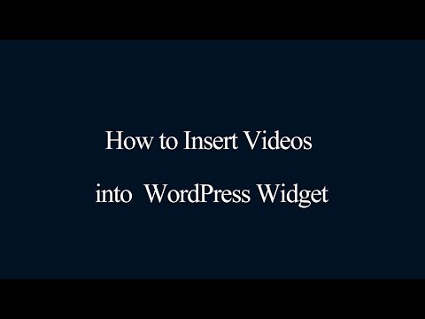 Insert Videos into WordPress Widget