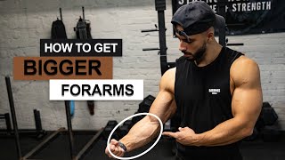 Want BIGGER Forearms? Do this Workout!  Stipke 202