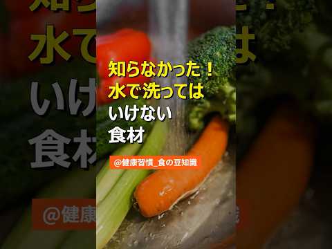 産卵鶏に禁止されている食品は何ですか?健康的な食生活に役立つリスト！  庭園