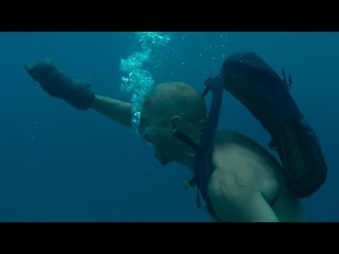 Трейлер